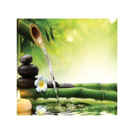 Organizer in a bath on suction cups "Nature", for storing toys and trifles, size 33 × 39 cm-1