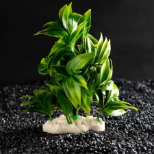 Artificial aquarium plant, 12.5 x 10 x 14 cm