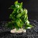 Artificial aquarium plant, 12.5 x 10 x 14 cm