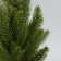 Figure LED "Pine" 32x15x15 cm, 10 LED, AG13X3 batteries (included), glow warm white