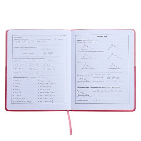 Universal Grade 1-11 Diary, 48 pink sheets, firm artificial leather cover, pancake embossing, liesse-10