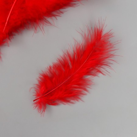 Pen decorative goose down "scarlet" set 40 pcs h = 10-15 cm-2