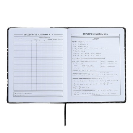 Universal Diary Grade 1-11, 48 sheets "Racing", solid cover of artificial leather, lies, universal cheat sheet, block 80 g/m2-7