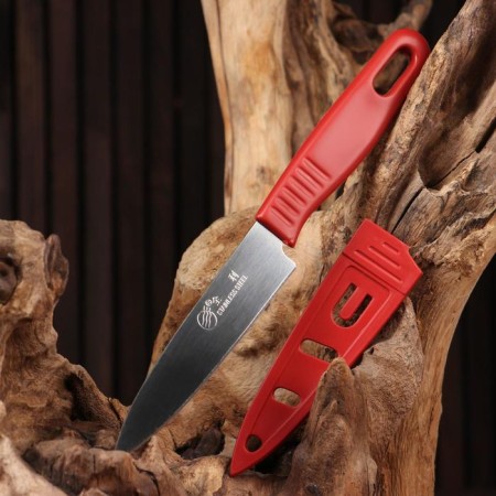 Tourist "steppe" 19.6cm, blade 98mm/0.7mm, mix