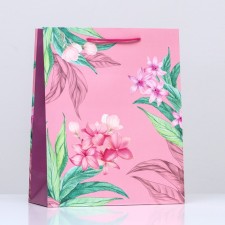 Gift package 