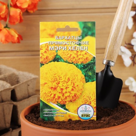 Flower seeds marigolds “Mary Helen”, o, 0.2 g-1