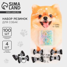 A set of gum for dogs 
