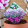 Alissum flowers "Blackmary Merengi", O, Darit 0.2 g