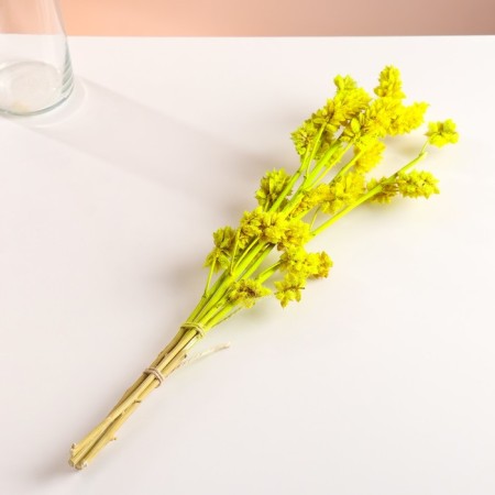 Set of dried flowers "licorice", ban 3 pcs, length 50 (+/- 6 cm), bright yellow-3