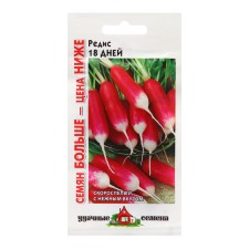Seeds Radis 