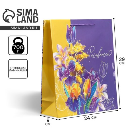 Gift package laminated, packaging, "bloom", m 24 x 29 x 9 cm-1