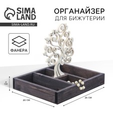 Organizer for jewelry 