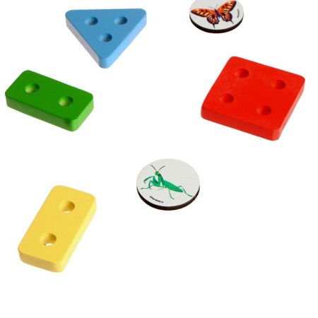 Sorter "Spring bug"-5