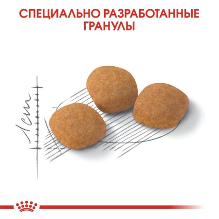 Dry food RC Exigent Protein Preference for cats who are picky for feeding, 400 g-3
