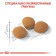 Dry food RC Exigent Protein Preference for cats who are picky for feeding, 400 g