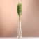 Set of dried flowers "oats", banch length 60-65 (+/- 6 cm), green