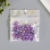Beads for creativity Plastic "Balls Shadow Violet" set 20 grams d = 1 cm