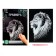 Engraving “lion” with a metallic effect “silver” A4