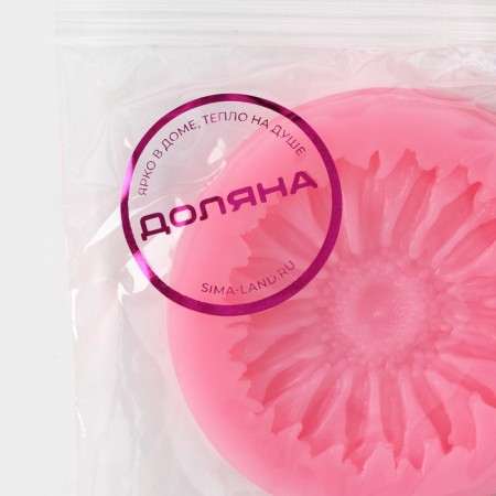 Mold Dolyana "Herber", silicone, d = 6 cm, color mix-6