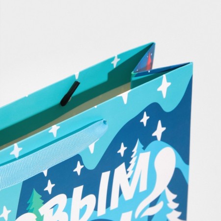 Laminated vertical packet “Winter in the city”, M 26 x 30 x 9 cm, New Year-5