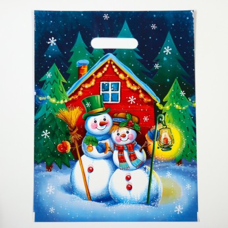 New Year. Snow couple package, plastic with a cut pen, 31x40 cm.