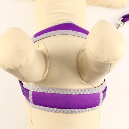 Soft harness kit, leash 120 x 1 cm with a swivel, s, Osh 26-67 cm, og 26-67 cm, purple-4