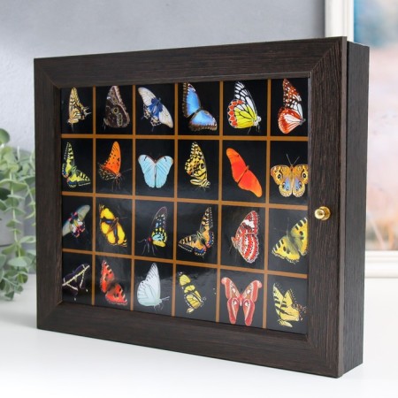 Key of the "butterfly" 24x29 cm-2