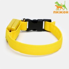 The collar luminous narrow for small dogs, 26 x 1.5 cm, yellow