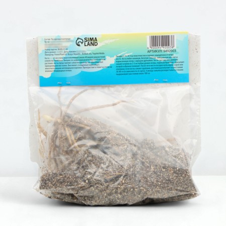 Хоста "White Feather ®", р-р I, размер SM,1 шт,-2