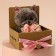 Soft toy "Charming Marta", cat, 25 cm