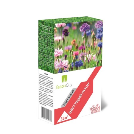 Blooming lawn lawn seeds, 1 kg