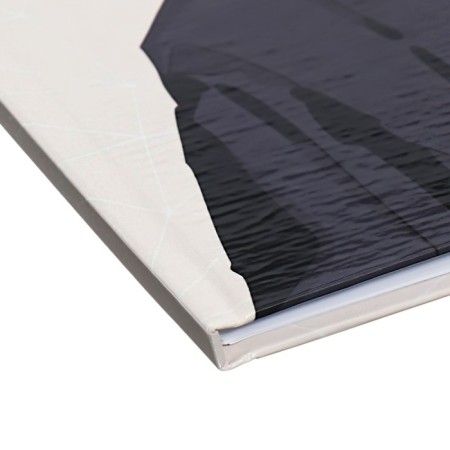 Universal diary for grades 1-11 Anime. Man and Sky, solid cover, glossy lamination, 40 sheets-2
