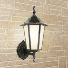Elektrostandard Lamp Garden-Park, 100W, E27, IP44, wall, 1004U black gold