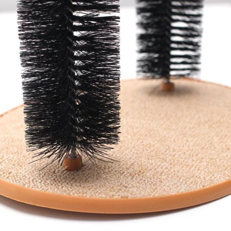 Complex for cats with claws and arch arch-2
