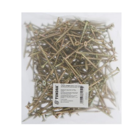 Self -cutting 3.8x65 mm tundra Premium, hide, large threads, pH slings, yellow zinc, 1 kg-1
