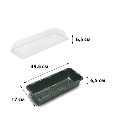 Mini-Pirate for seedlings, 39.5 × 17 × 13 cm, without inserts, dark green, Greengo