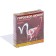 Condoms "horoscope of love" mix, 3 pcs
