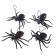 Fun "Spider"