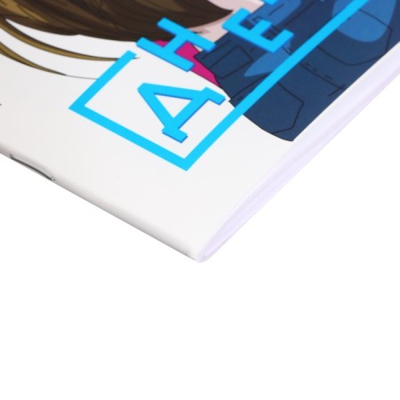 Universal diary for grades 1-11, 48 sheets on the clip "Girl Skereter", plastic cover, offset unit-2