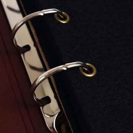 The album is vertical for icons, with sheets on fabric, 230 x 270 mm, boumvinyl, brown-3