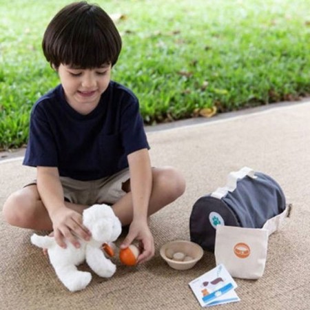 Plan Toys pet care-1