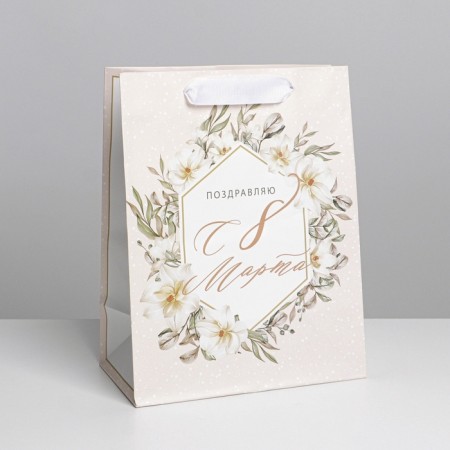 Gift Package Laminated, Packaging, Nyud, MS 18 x 23 x 10 cm-1