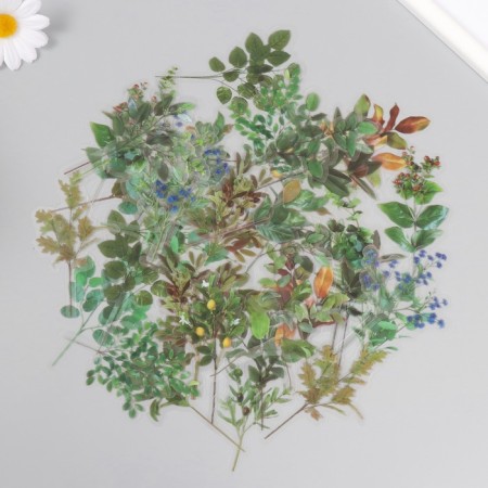 Stickers for creativity PLC PVC "Green leaves" set 40 pcs 9x10.5 cm-1
