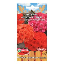 Flower seeds Pelargonium 