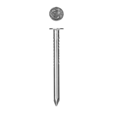 Nails of the bison master, thick, galvanized, 2.5x32 mm, 5 kg