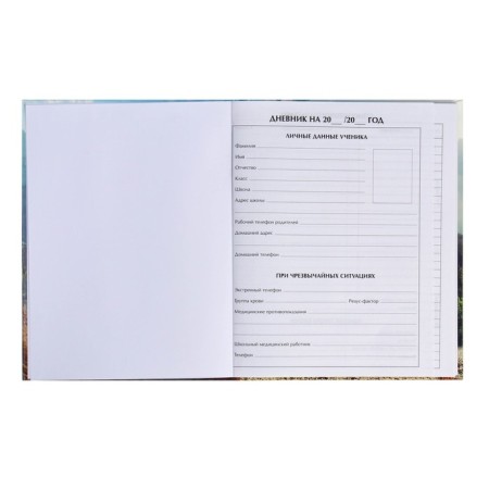 Diary for grades 5-11, "Bear with glasses", solid cover 7BC, glossy lamination, 48 sheets-3