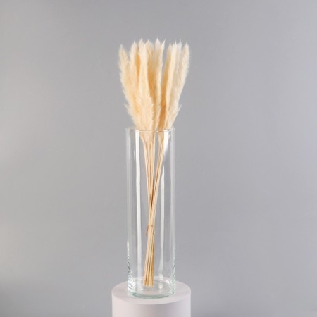 VAZ "Ibertta-400" H-40cm; D-11.5cm, 3.8l transparent-1