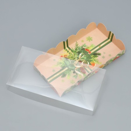 Box for confectionery products with PVC lid "Mandarins and needles", 10.5 x 21 x 3 cm, New Year-2