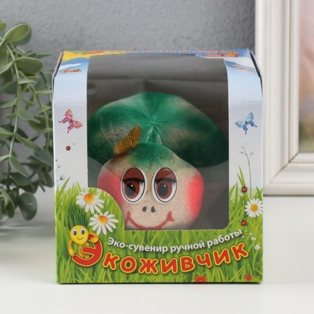 Growing gift Eco -Zhizhivchik "Turtle" in gift package mix-4