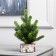 Figure LED “needles” 28 x 20 x 20 cm, 10 LED, AG13X3 batteries (complete), glow warm white